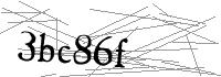 Visual Verification