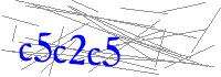 Visual Verification