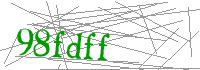Visual Verification