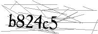 Visual Verification
