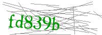 Visual Verification