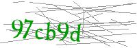 Visual Verification