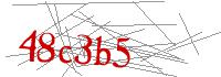 Visual Verification
