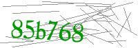Visual Verification