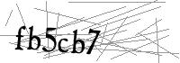 Visual Verification