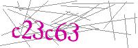 Visual Verification