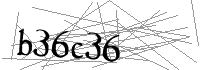 Visual Verification