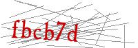 Visual Verification