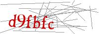Visual Verification