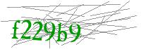 Visual Verification