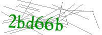 Visual Verification