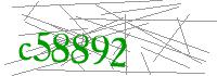 Visual Verification