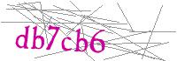 Visual Verification