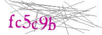 Visual Verification