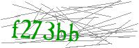 Visual Verification