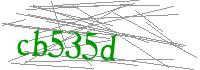 Visual Verification