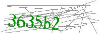 Visual Verification
