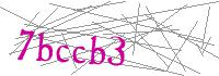 Visual Verification