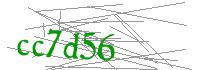 Visual Verification