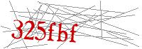 Visual Verification