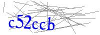 Visual Verification