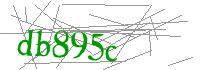 Visual Verification
