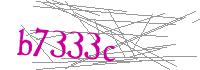 Visual Verification