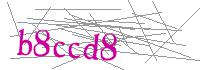 Visual Verification