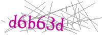 Visual Verification