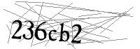 Visual Verification