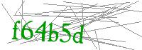 Visual Verification