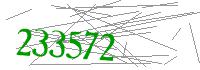 Visual Verification