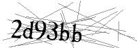 Visual Verification