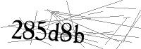 Visual Verification