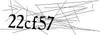 Visual Verification