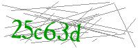 Visual Verification