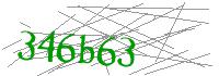 Visual Verification