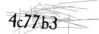Visual Verification