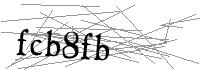 Visual Verification