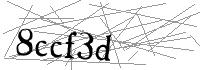 Visual Verification