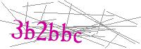 Visual Verification