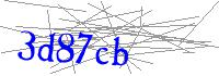 Visual Verification