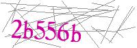 Visual Verification