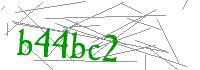 Visual Verification