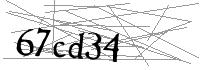 Visual Verification