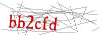 Visual Verification