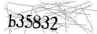 Visual Verification