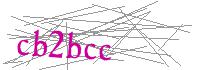 Visual Verification