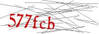 Visual Verification