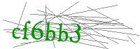 Visual Verification